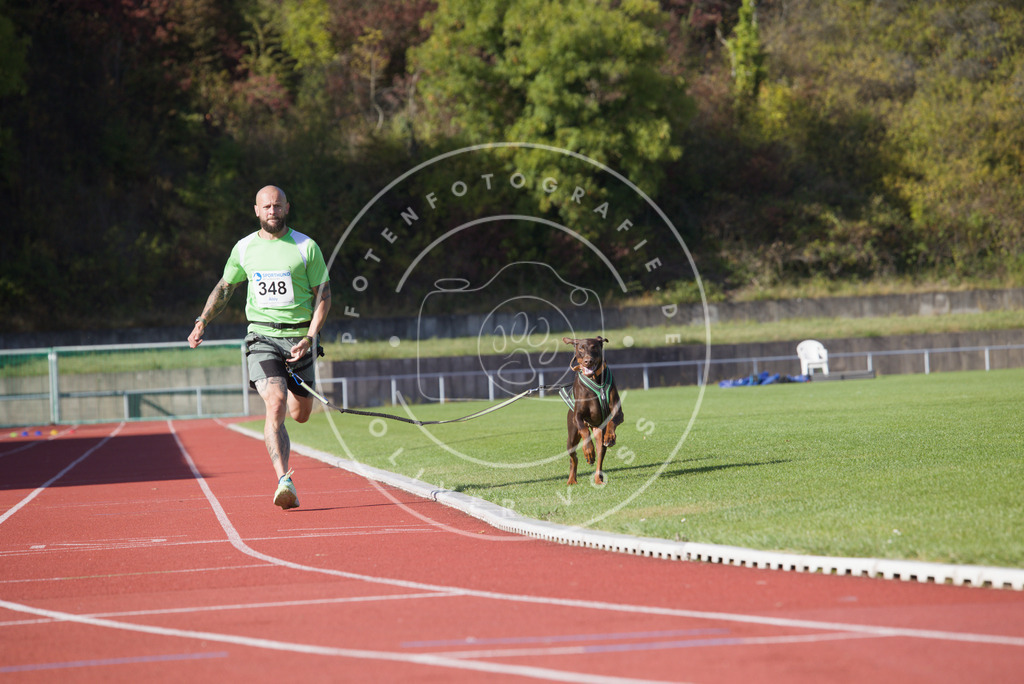 0L8A9378 | Hundefotografie, Tierfotograf, Pfotenfotografie, Fotoshooting Hund, Hunde Portrait, Hundesport, Hundeportraits, Heideshooting, Hunde, Sportfotograf, Hundefotograf, Turnierhundsport, THS,  - Realisiert mit Pictrs.com