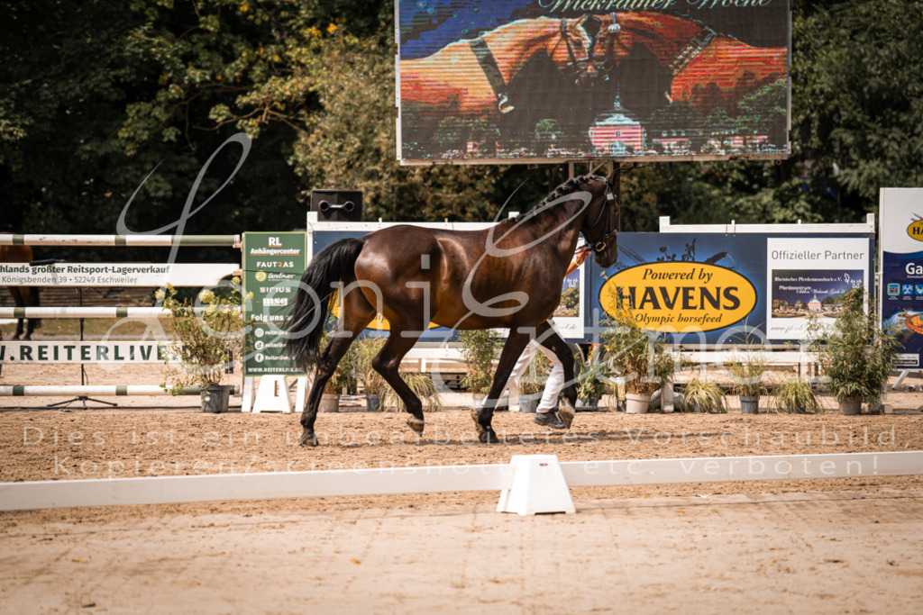 3.Fr00050 | Leoni Ertmer Photography - Realisiert mit Pictrs.com