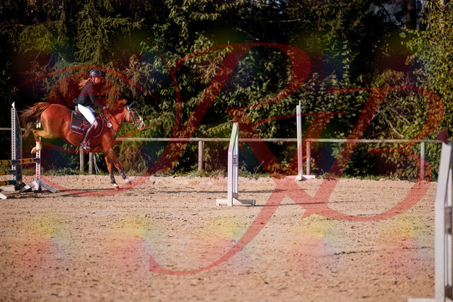 2026_10_03_Siefer-Hof_155823_Z81_78361902 | Professionelle Reitsport-, Turnier- und Eventfotografie von Robert Broda. Galerien mit ausgewählten und bearbeiteten Bildern direkt online ansehen und bestellen.