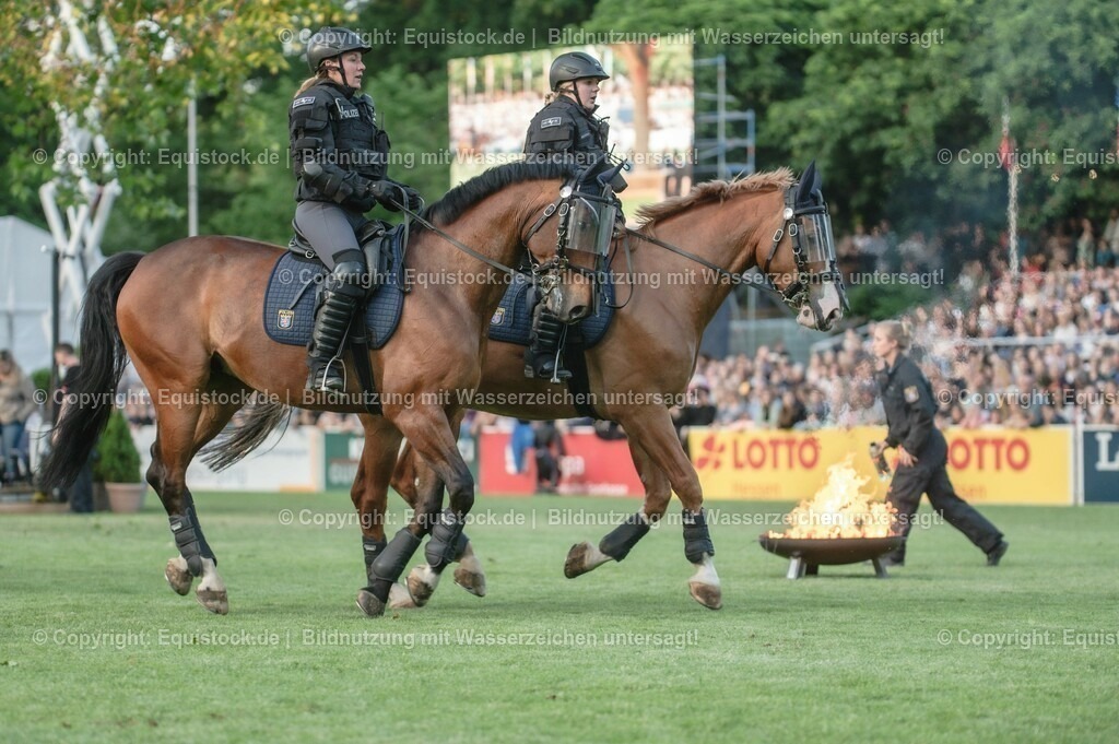 20230526_Pferdenacht_0423 | equistock