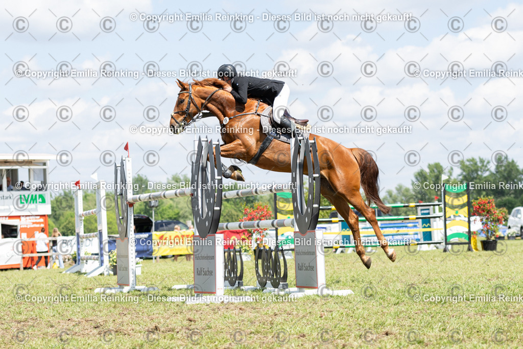 CL5A8656 | Emilia Reinking Fotografie - Realisiert mit Pictrs.com