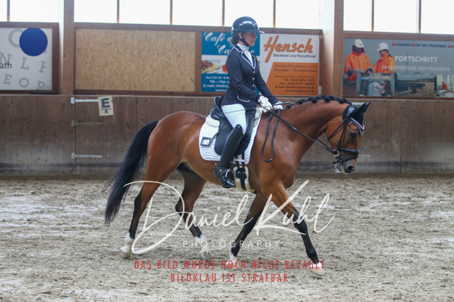 DKP44267 | Turniersportfotografie; Pferdefotografie; Dressurfotografie