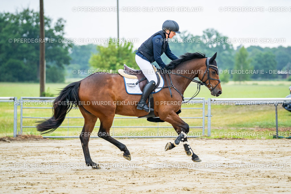 DSC02208 | Pferdegrafie