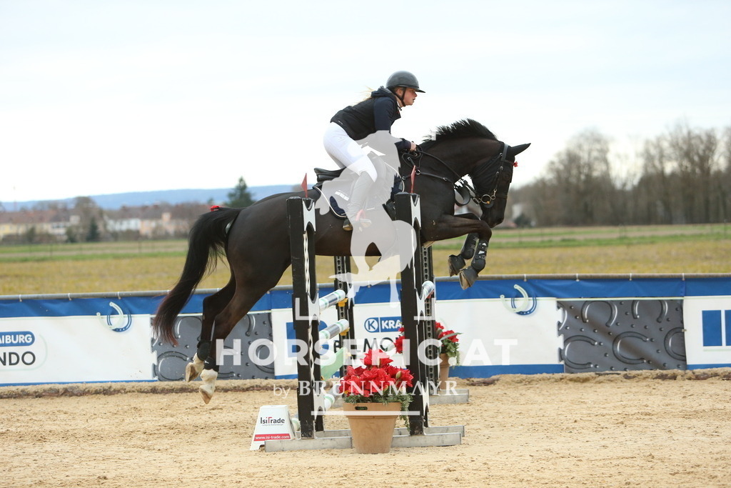 DL2Q2845 | Willkommen bei Brunnmayr - Design & Fotografie – Ihrem Spezialisten für Reitturniere und Pferdeveranstaltungen in Oberösterreich, Salzburg und Bayern! Seit über 17 Jahren sind wir leidenschaftlich dabei.