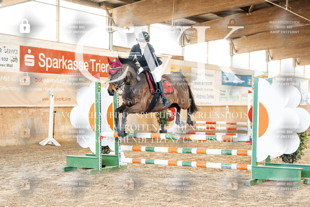 CK903775 | Turnierfotografie Pferdefotografie Trier Rheinland-Pfalz Pferdesport Reitsport Tierfotografie Sportfotografie Pferdevideo Pferdevideografie Equestrianvideography equestrianphotography  - Realisiert mit Pictrs.com