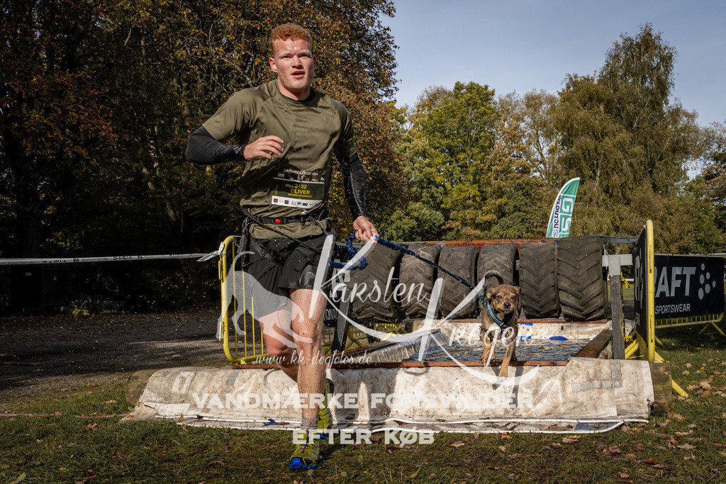 1342_ZZ92813 | kk-dogfotos