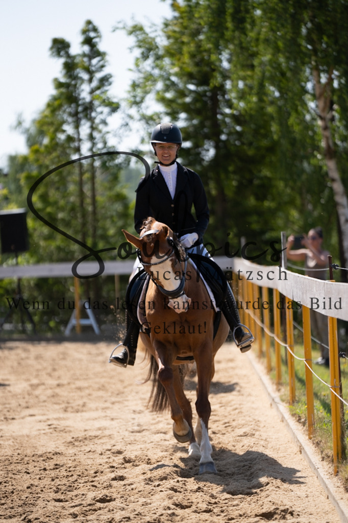 A7V07914 | Turnier/Reitfotograf