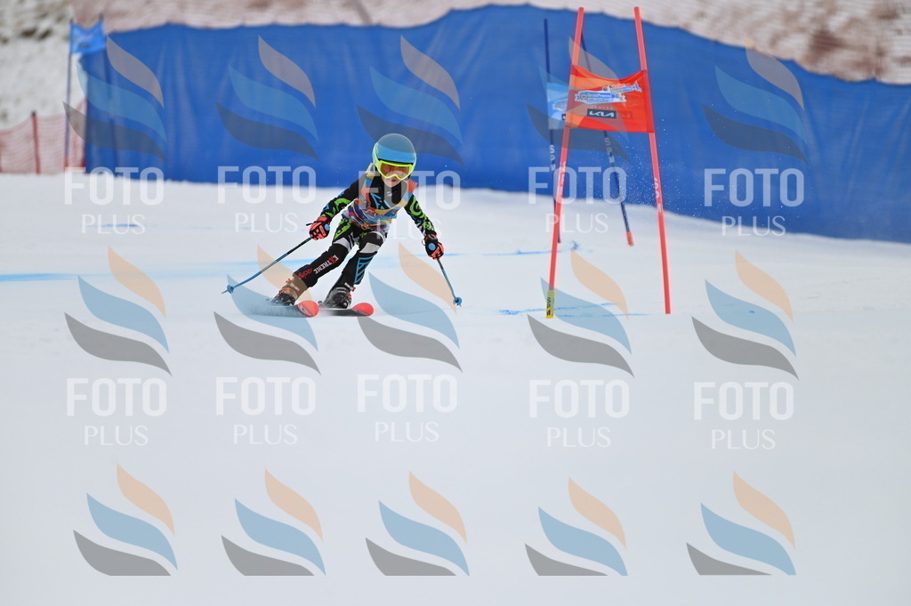 BGV_2096 | holidayphoto