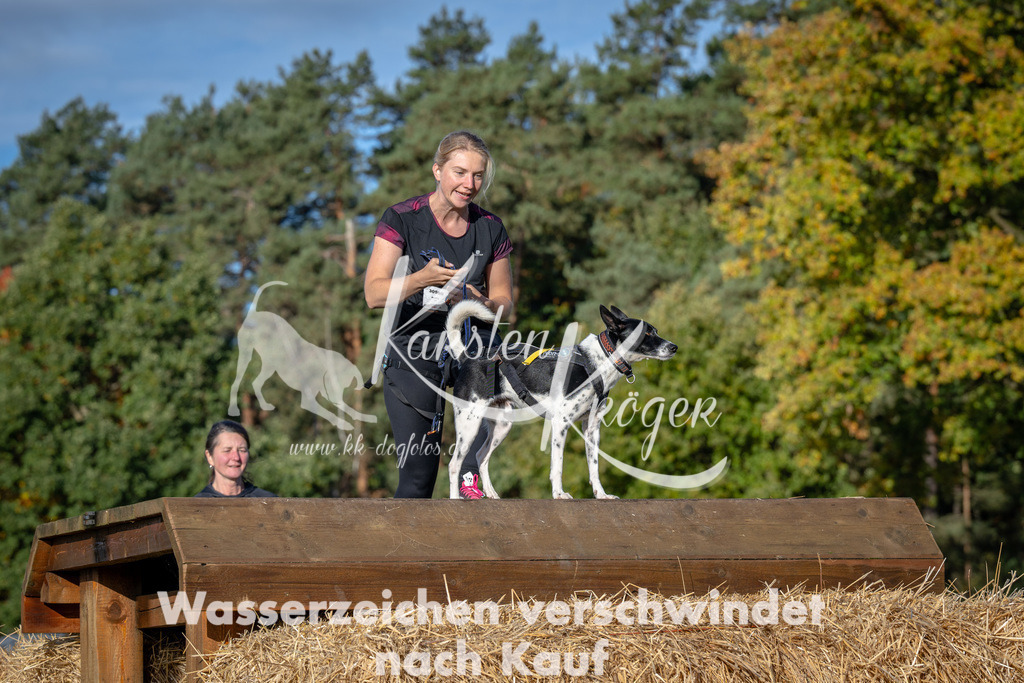 1001_ZZ91952 | kk-dogfotos