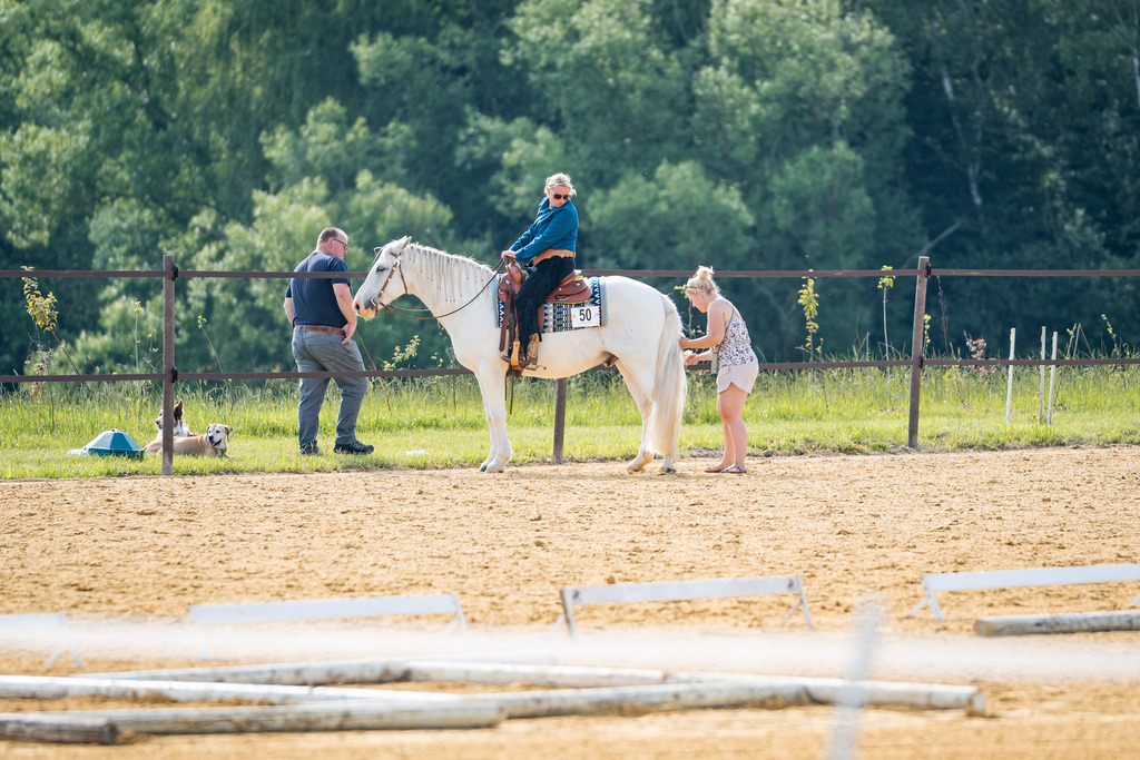 DSC08465 | Pferdegrafie