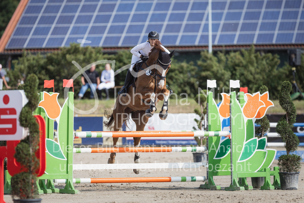 230624_PfSpTa_L-Spr-317 | Deine schönsten Turniermomente als professionelle Fotos! Entdecke hochwertige Pferdesport-Fotografie im Online-Shop. Jetzt Fotos finden & bestellen!