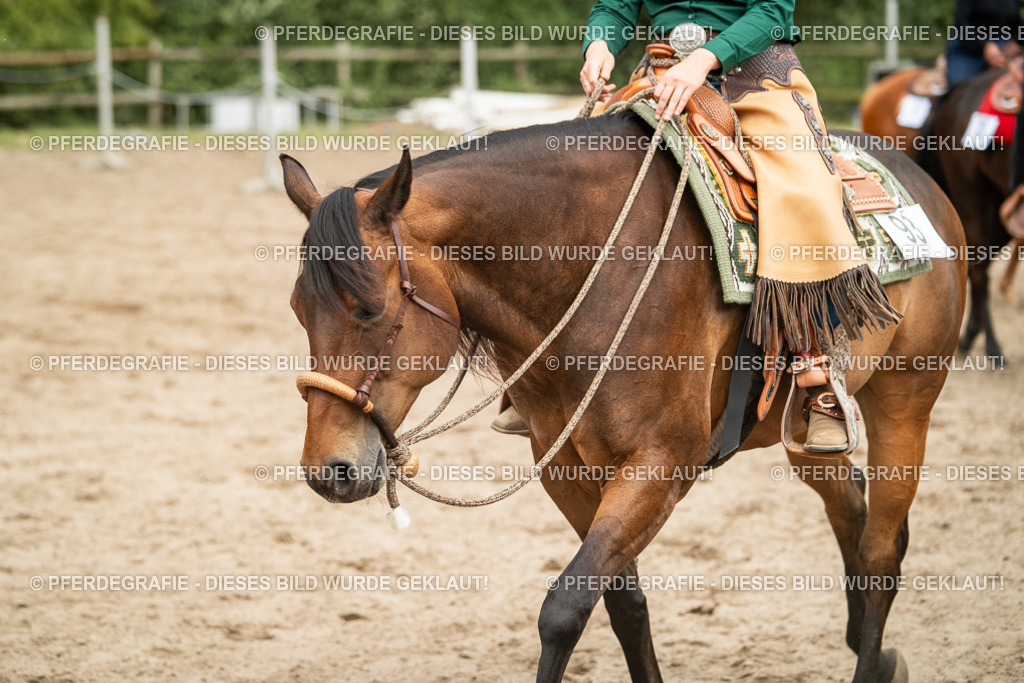 DSC03366 | Pferdegrafie