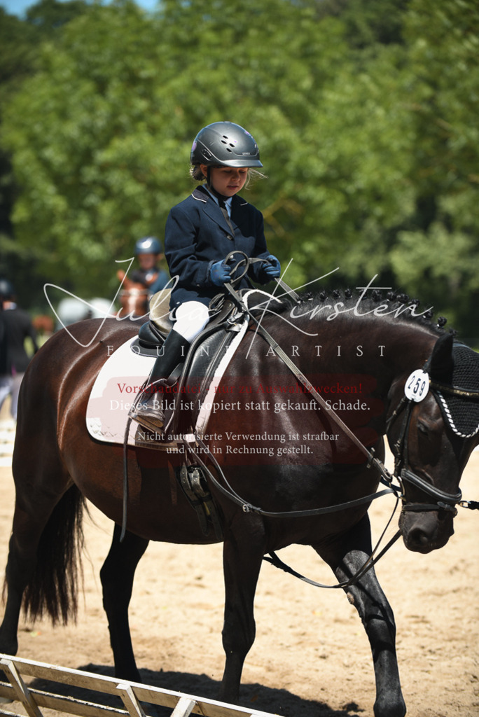 DSC_1992 | Pferde- und Turnierfotografie in Westsachsen. Pferdeportraits, Auftragszeichnungen und intuitive Kunst.