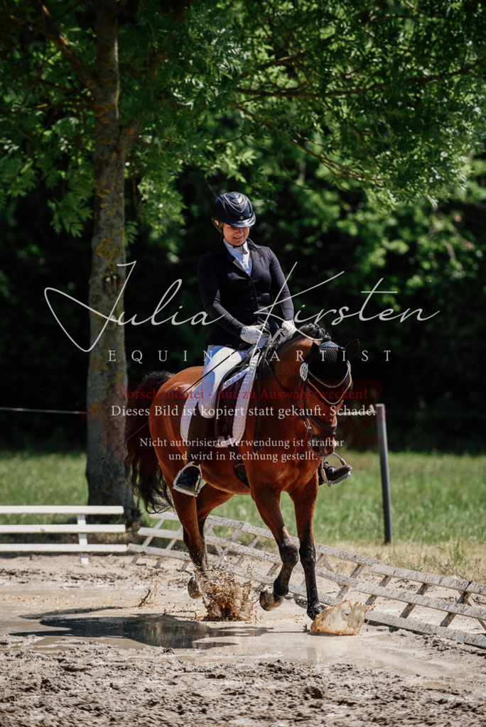 DSC_1863 | Pferde- und Turnierfotografie in Westsachsen. Pferdeportraits, Auftragszeichnungen und intuitive Kunst.
