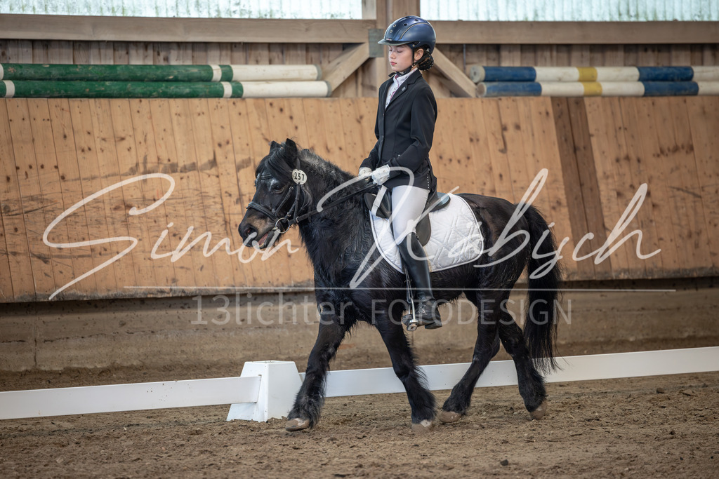 20251011-_3LI8199 | Tierfotografie Pferde, Hunde, Katzen, Haustiere.
Turnierfotografie Reitturniere, Reiten, Springreiten, Dressur in Hanau, dem Main-Kinzig-Kreis und dem Rhein-Main- Gebiet um Frankfurt