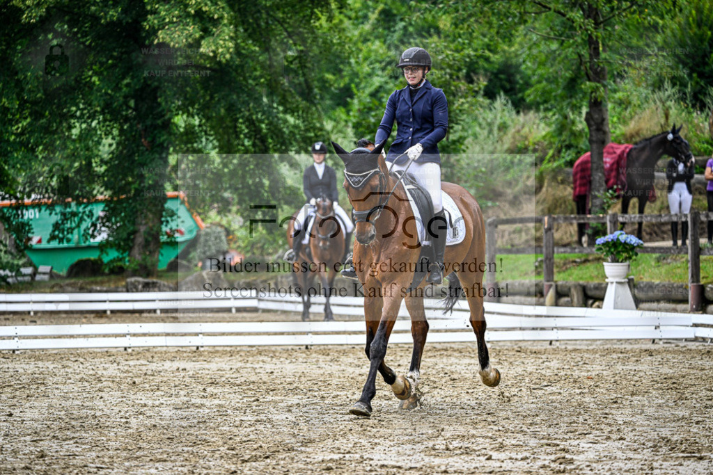 Bissendorfer Reitertage | Entdecke hochwertige Reitturnierfotos von Foto Oger. Professionell, emotional und authentisch – jetzt Lieblingsmomente im Shop bestellen. - Realisiert mit Pictrs.com