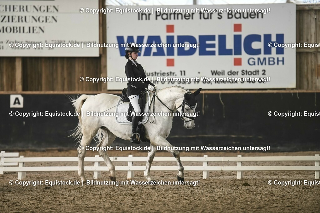 01_Dressur_A_Finale-Volksbank-Championat_0120 | Foto: Thomas Hartig