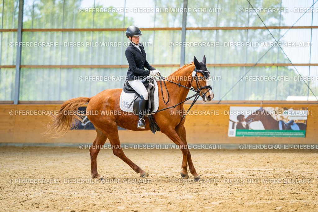 DSC08517 | Pferdegrafie