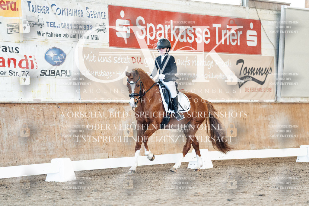 CK908235 | Turnierfotografie Pferdefotografie Trier Rheinland-Pfalz Pferdesport Reitsport Tierfotografie Sportfotografie Pferdevideo Pferdevideografie Equestrianvideography equestrianphotography  - Realisiert mit Pictrs.com