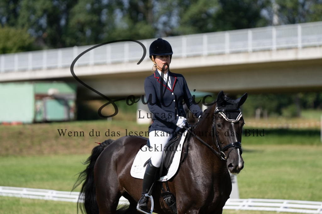 A7V09507 | Pferdefotograf