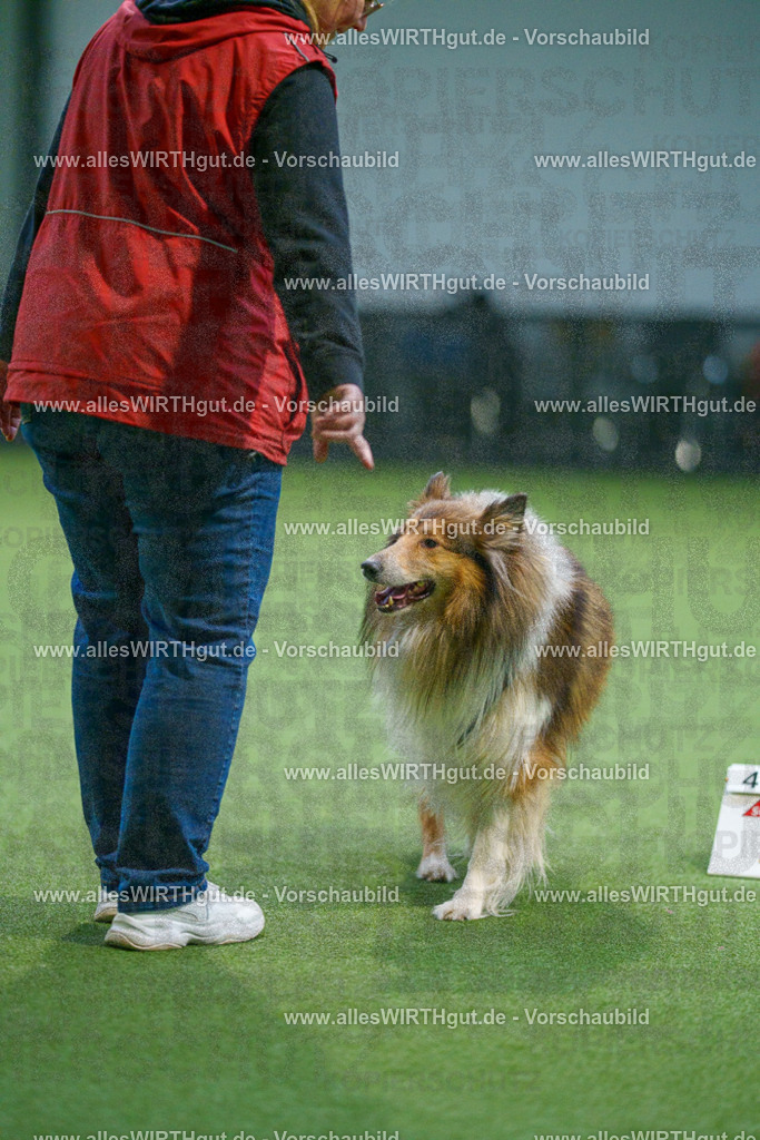 7R500425 | Professionelle Tierfotografie in Mönchengladbach von Daniel Wirth (allesWIRTHgut). Liebevolle & natürliche Bilder von Hunden & Katzen für unvergessliche Erinnerungen.