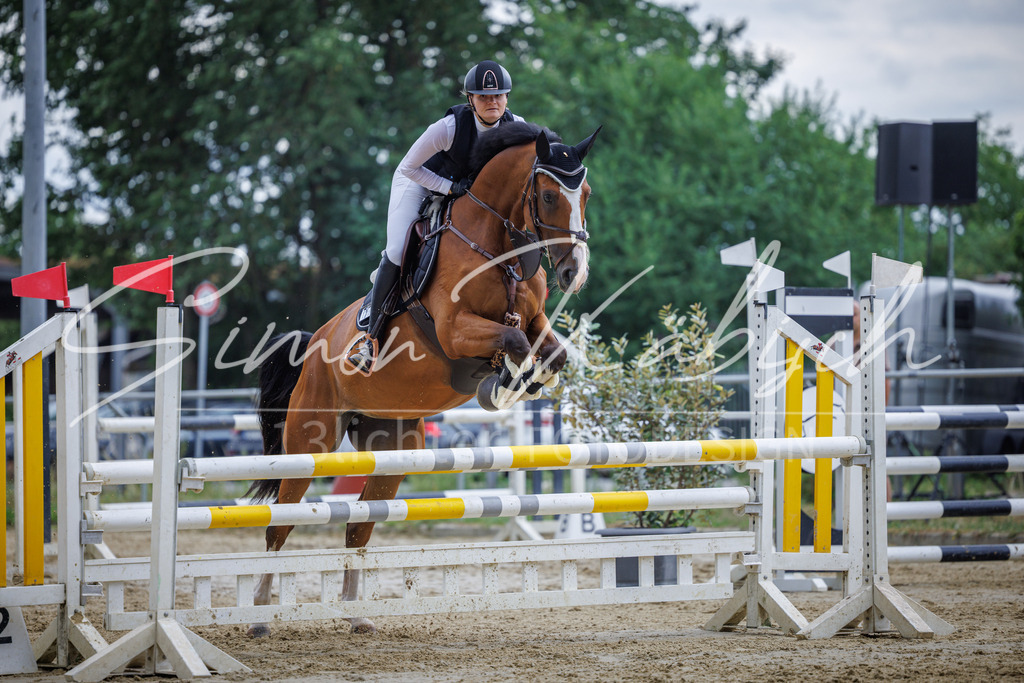 20260705-_3LI6014 | Tierfotografie Pferde, Hunde, Katzen, Haustiere.
Turnierfotografie Reitturniere, Reiten, Springreiten, Dressur in Hanau, dem Main-Kinzig-Kreis und dem Rhein-Main- Gebiet um Frankfurt