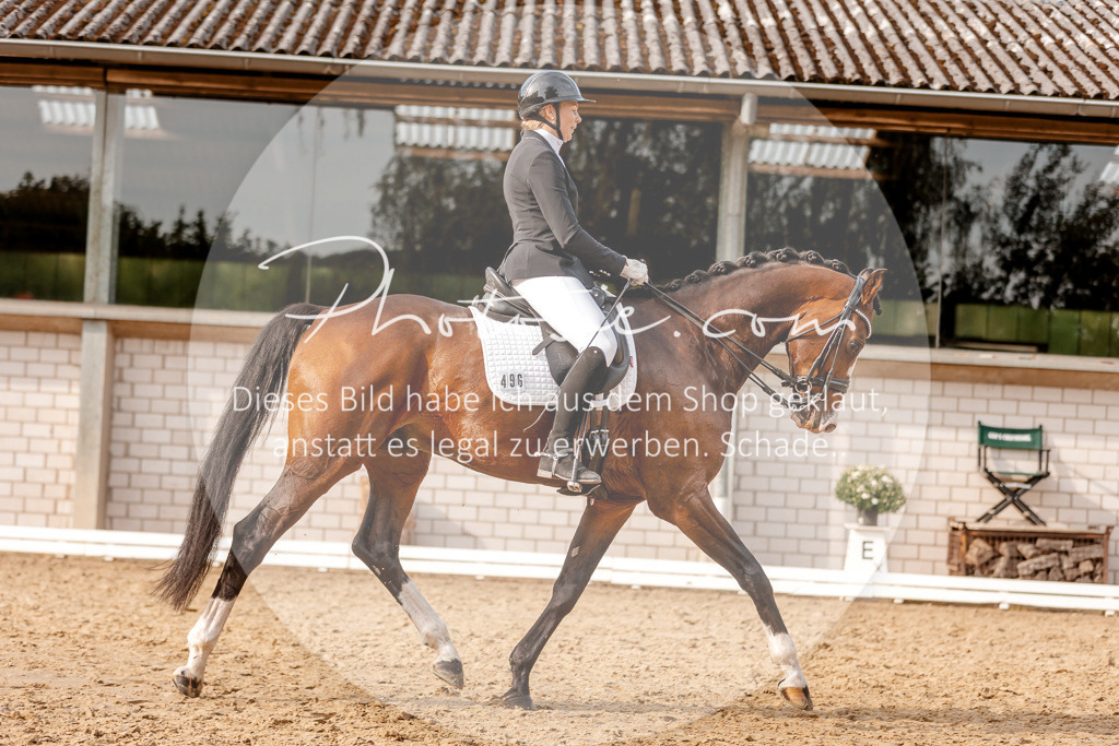 3I6A2884 | Stimmungsvolle Portraits und Reitsportfotografie im Ruhrgebiet und im Münsterland.

Pferdefotografie, Hundefotografie, Tierfotografie, Reportagen, Portraits von Tier und Mensch, Turnierfotografie in Bochum, Recklinghausen, Marl, Haltern am See, Dülmen.. - Realisiert mit Pictrs.com