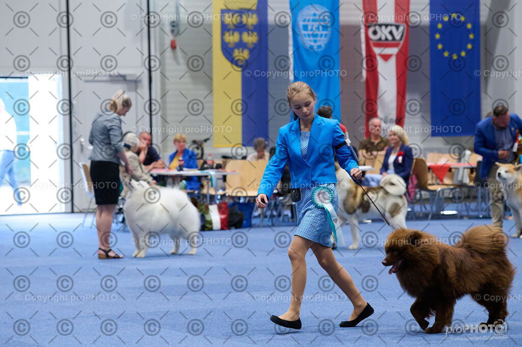 202406_ÖKV-IHA-Tulln24_DSC_3045 | proPHOTO - Realisiert mit Pictrs.com