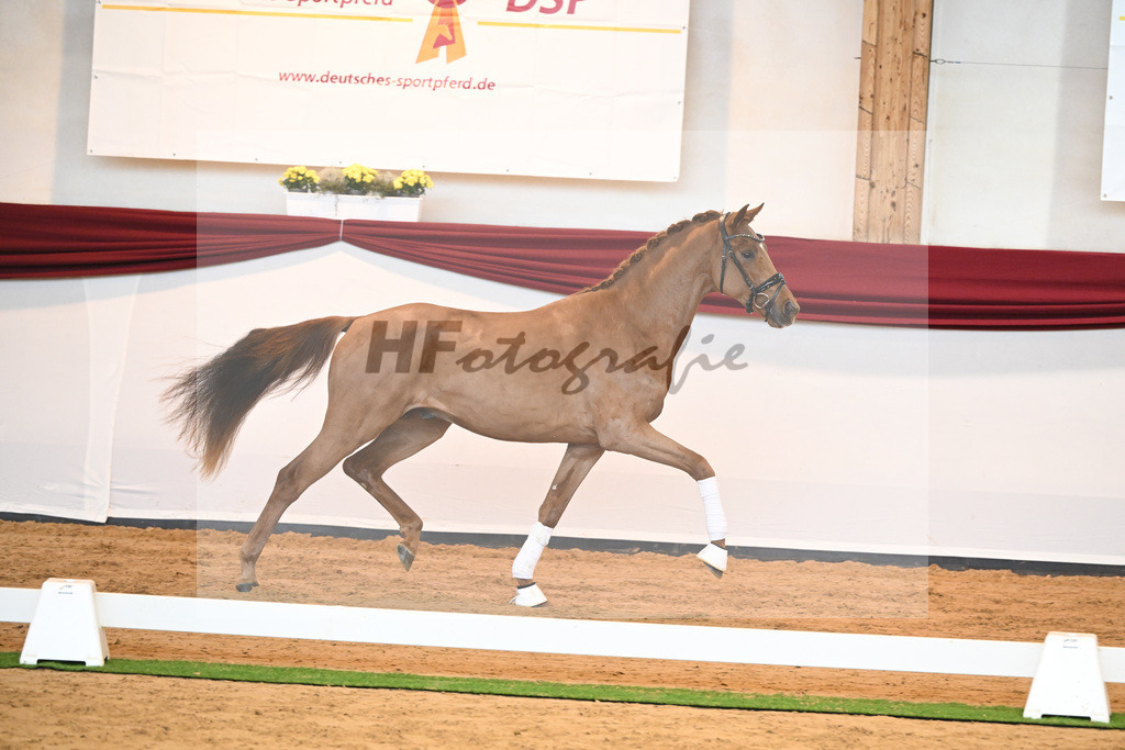 Kat-Nr. 52 v. Vaderland_Galneder_66220743 | hf-fotografie - Realisiert mit Pictrs.com