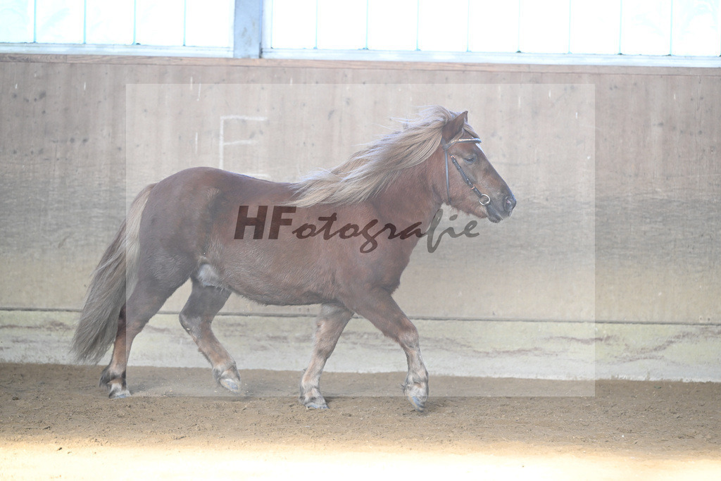 Kat-Nr. 18 Well Doves Walesco v. Well done_Laege u Ruediger_49250796 | hf-fotografie - Realisiert mit Pictrs.com