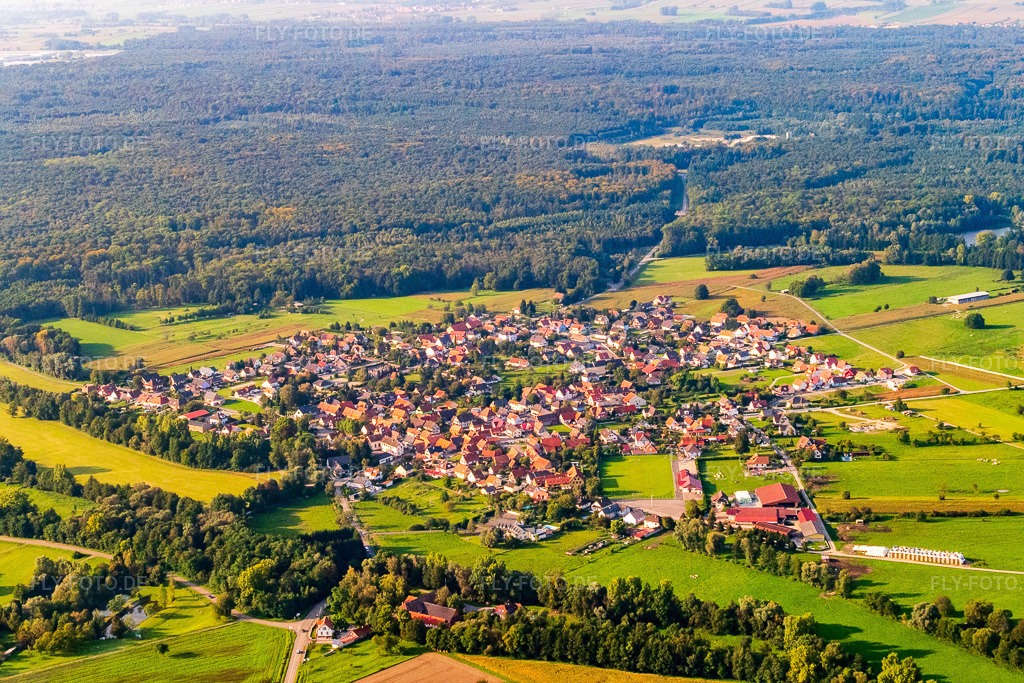 Luftbild: Ortsansicht von Südosten in Forstfeld im Bundesland Bas-Rhin in Frankreich. – Foto: P1000915.jpg vom 15.09.2014 durch Werner Riehm/FLY-FOTO.de – Auflösung des Originals: 5472 x 3648 px