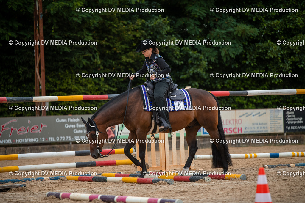 ZS2_7900 | dv-media-shop - Realisiert mit Pictrs.com