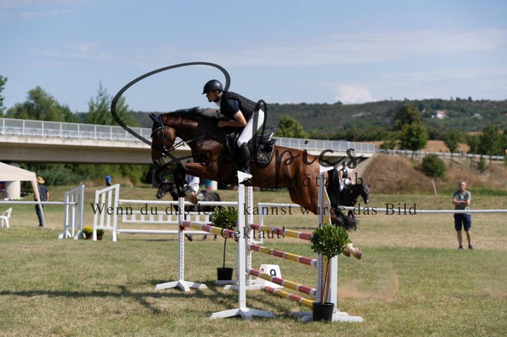 A7V01547 | Pferdefotograf