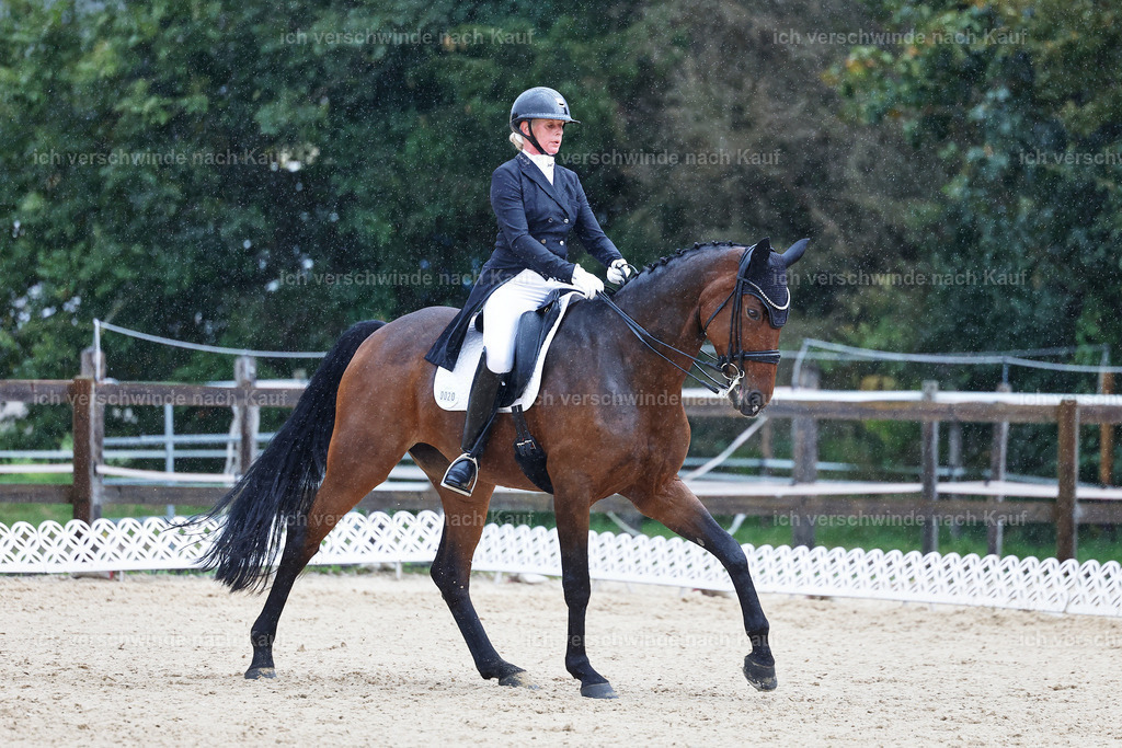 8_1-020-Klasse S_  -StoibPH-3992 | working equitationturnier fotograf videograf stoibphotography marixx film working equitation deutschland reitsport turnierfotografie eventfotografie equestrian events