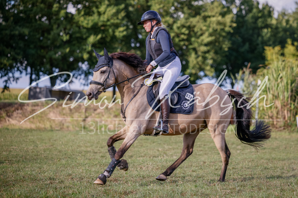20250905-_3LI2527 | Tierfotografie Pferde, Hunde, Katzen, Haustiere.
Turnierfotografie Reitturniere, Reiten, Springreiten, Dressur in Hanau, dem Main-Kinzig-Kreis und dem Rhein-Main- Gebiet um Frankfurt