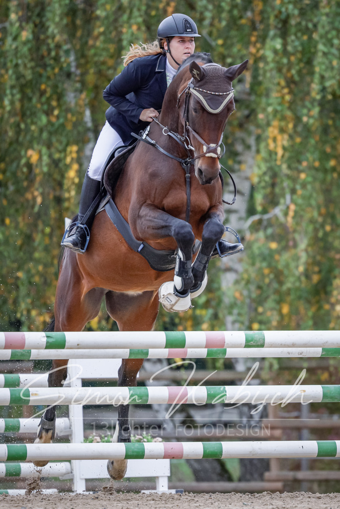 20251012-_3LI4413 | Tierfotografie Pferde, Hunde, Katzen, Haustiere.
Turnierfotografie Reitturniere, Reiten, Springreiten, Dressur in Hanau, dem Main-Kinzig-Kreis und dem Rhein-Main- Gebiet um Frankfurt