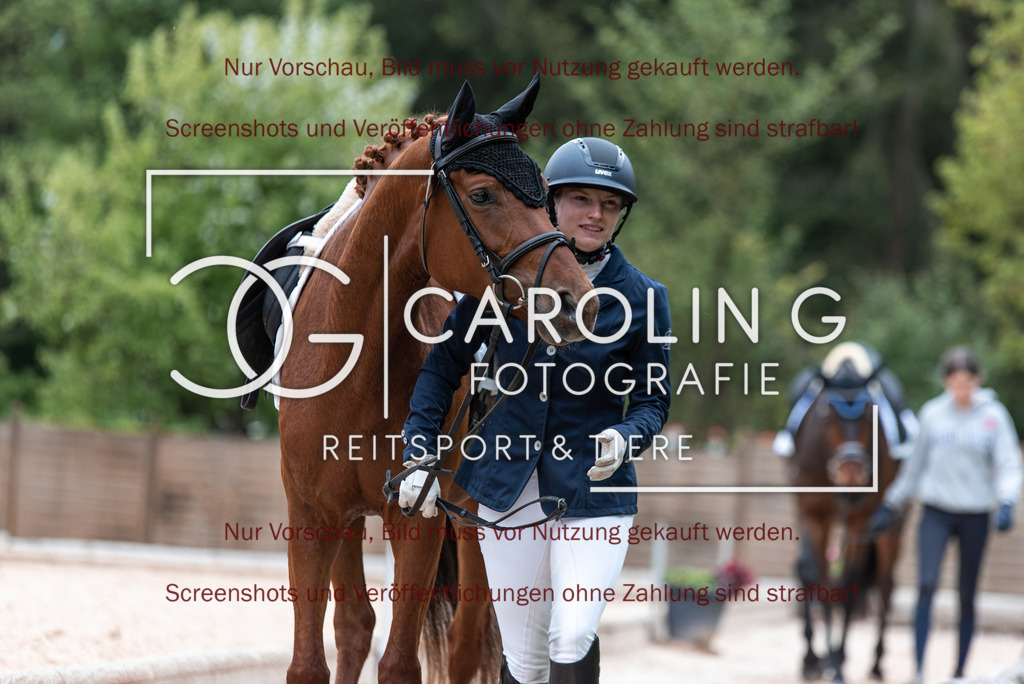 DSC_6942 | Turnierfotografin Carolin Gieschke,Reitsport Turnierfotografie Carolin G Fotografie | Turnierfotos aus Kirchheim/Teck, Esslingen, Stuttgart und dem Bodenseekreis