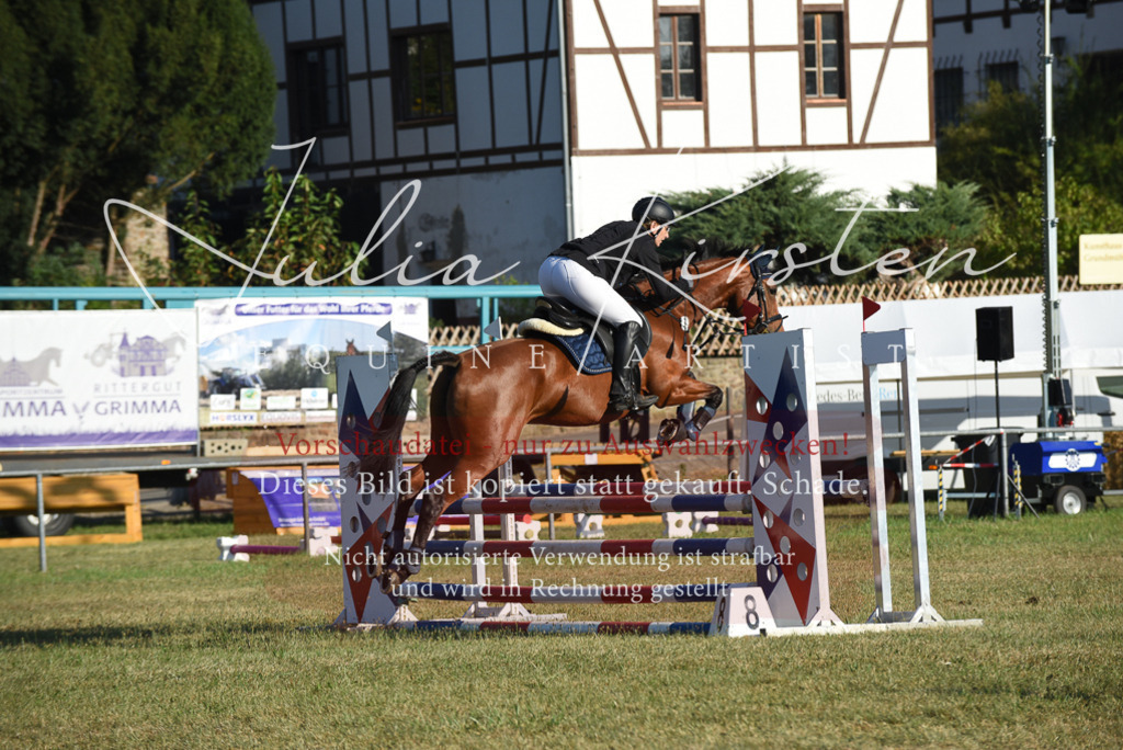DSC_4978 | Pferde- und Turnierfotografie in Westsachsen. Pferdeportraits, Auftragszeichnungen und intuitive Kunst.