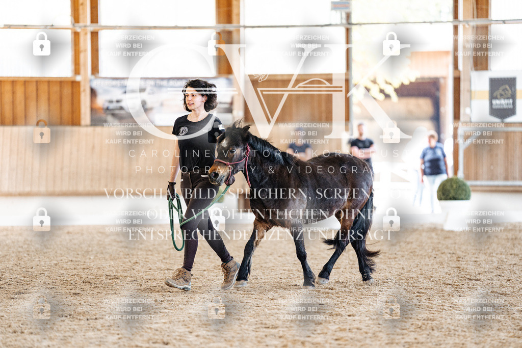 CK906846 | Turnierfotografie Pferdefotografie Trier Rheinland-Pfalz Pferdesport Reitsport Tierfotografie Sportfotografie Pferdevideo Pferdevideografie Equestrianvideography equestrianphotography  - Realisiert mit Pictrs.com