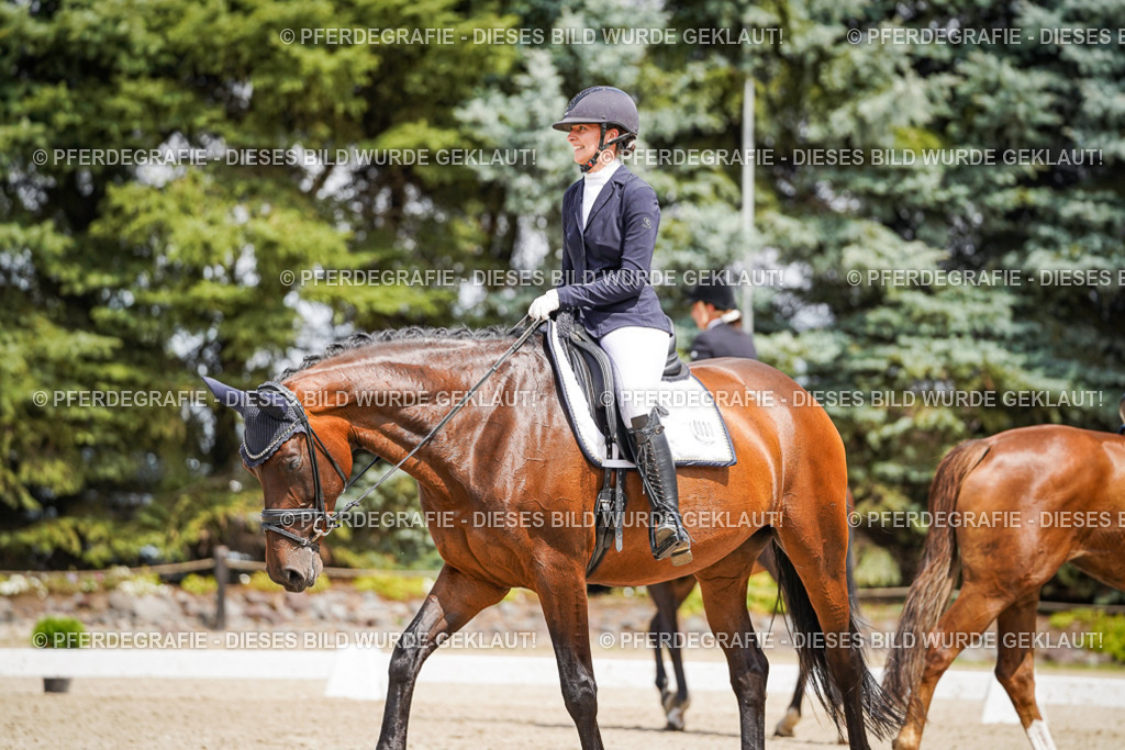 DSC02189 | Pferdegrafie