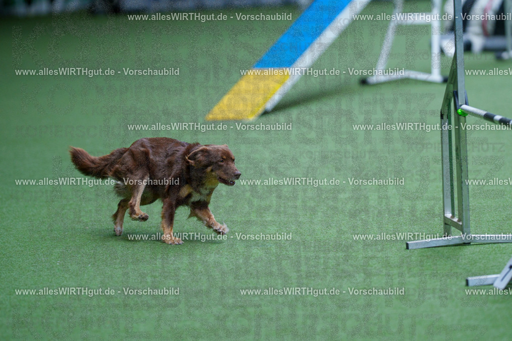 @allesWIRTHgut_Tierfotografie - www.allesWIRTHgut.de - 2604261140-7R500161 | Professionelle Tierfotografie in Mönchengladbach von Daniel Wirth (allesWIRTHgut). Liebevolle & natürliche Bilder von Hunden & Katzen für unvergessliche Erinnerungen.