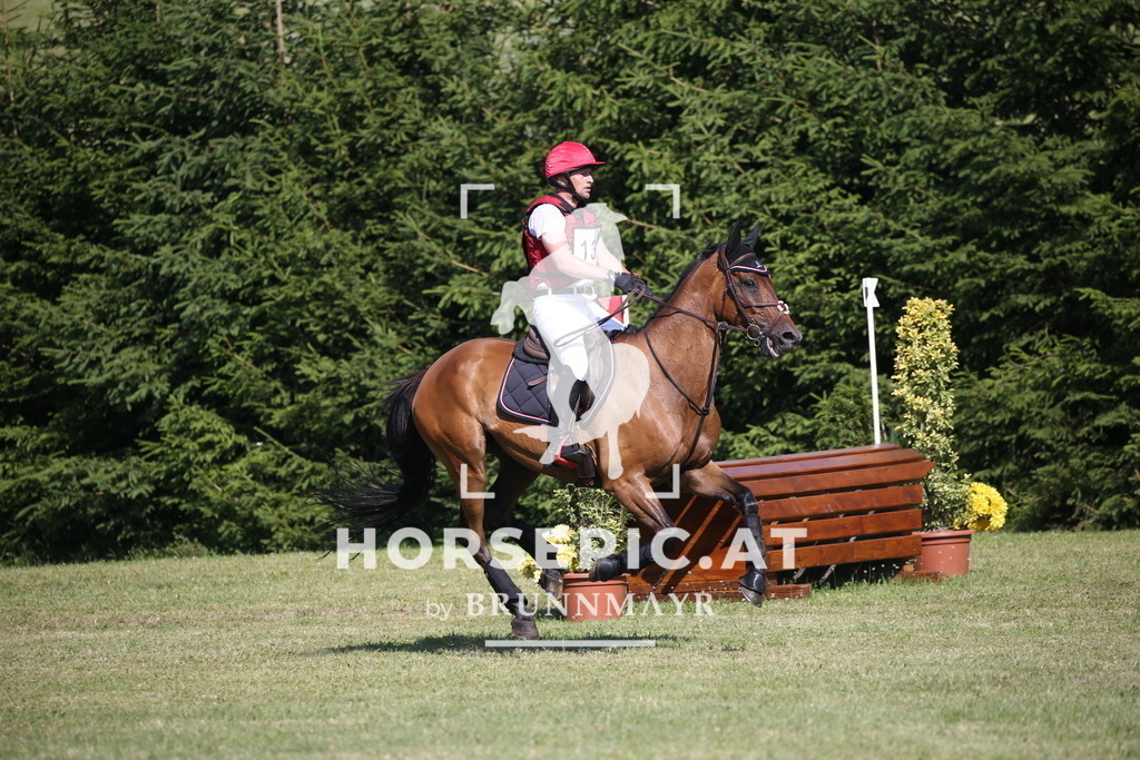 DL2Q2050 | Willkommen bei Brunnmayr - Design & Fotografie – Ihrem Spezialisten für Reitturniere und Pferdeveranstaltungen in Oberösterreich, Salzburg und Bayern! Seit über 17 Jahren sind wir leidenschaftlich dabei.