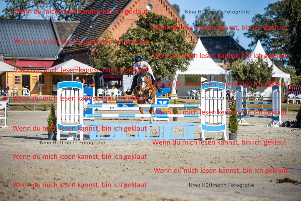BK1A6091 | Turnierbilder Turnierfotos Nina Hüffmann Turnierfotografie Pferdefotografie Tierzeichnung Haustierzeichnung Pferdezeichnung Hundezeichnung Videograf  - Realisiert mit Pictrs.com