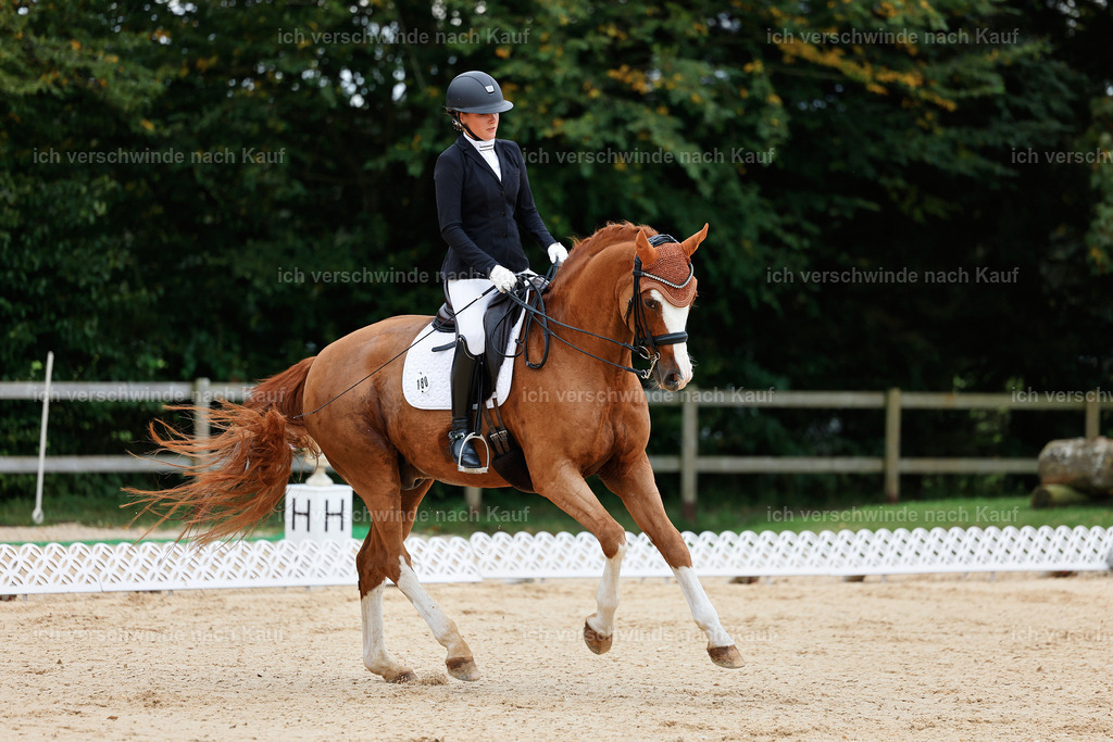 04_1-180-Dressur M__ -StoibPH-StoibPH-2631 | working equitationturnier fotograf videograf stoibphotography marixx film working equitation deutschland reitsport turnierfotografie eventfotografie equestrian events