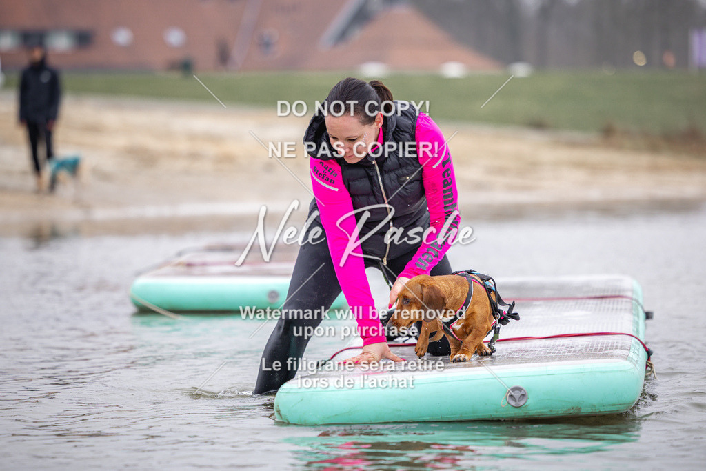 nelerasche_Hulsbeek_Sa1030-1100_423 | nelerasche