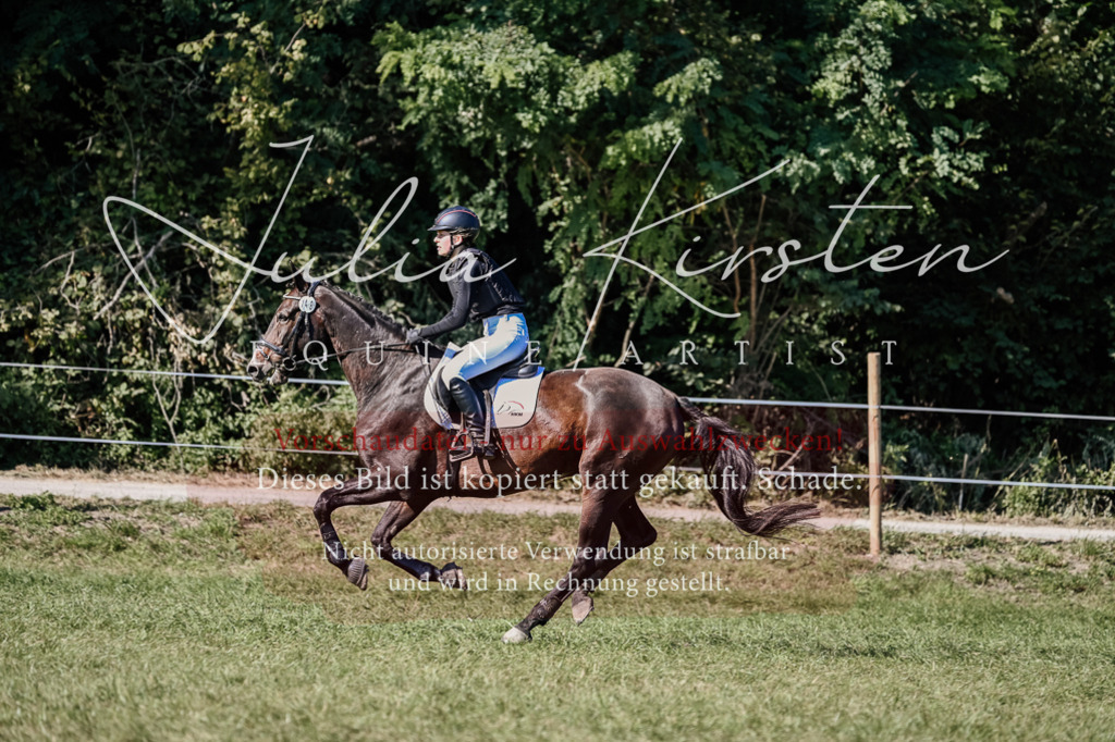 DSC_3428 | Pferde- und Turnierfotografie in Westsachsen. Pferdeportraits, Auftragszeichnungen und intuitive Kunst.