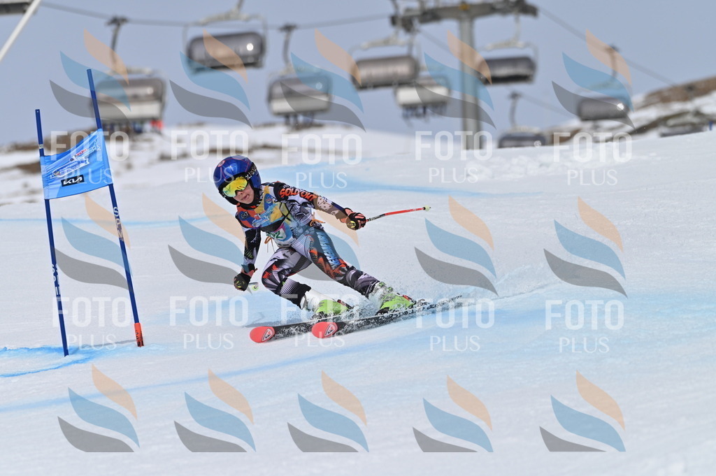 BGV_3892 | holidayphoto