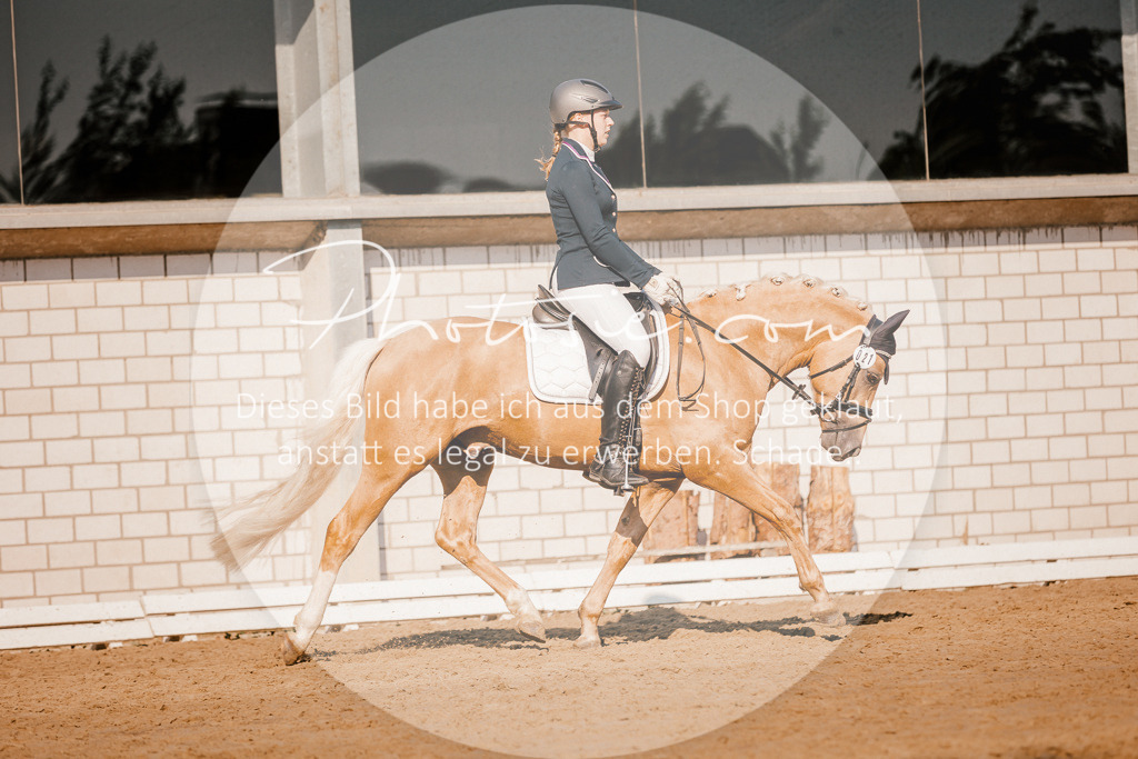 3I6A8757 | Stimmungsvolle Portraits und Reitsportfotografie im Ruhrgebiet und im Münsterland.

Pferdefotografie, Hundefotografie, Tierfotografie, Reportagen, Portraits von Tier und Mensch, Turnierfotografie in Bochum, Recklinghausen, Marl, Haltern am See, Dülmen.. - Realisiert mit Pictrs.com