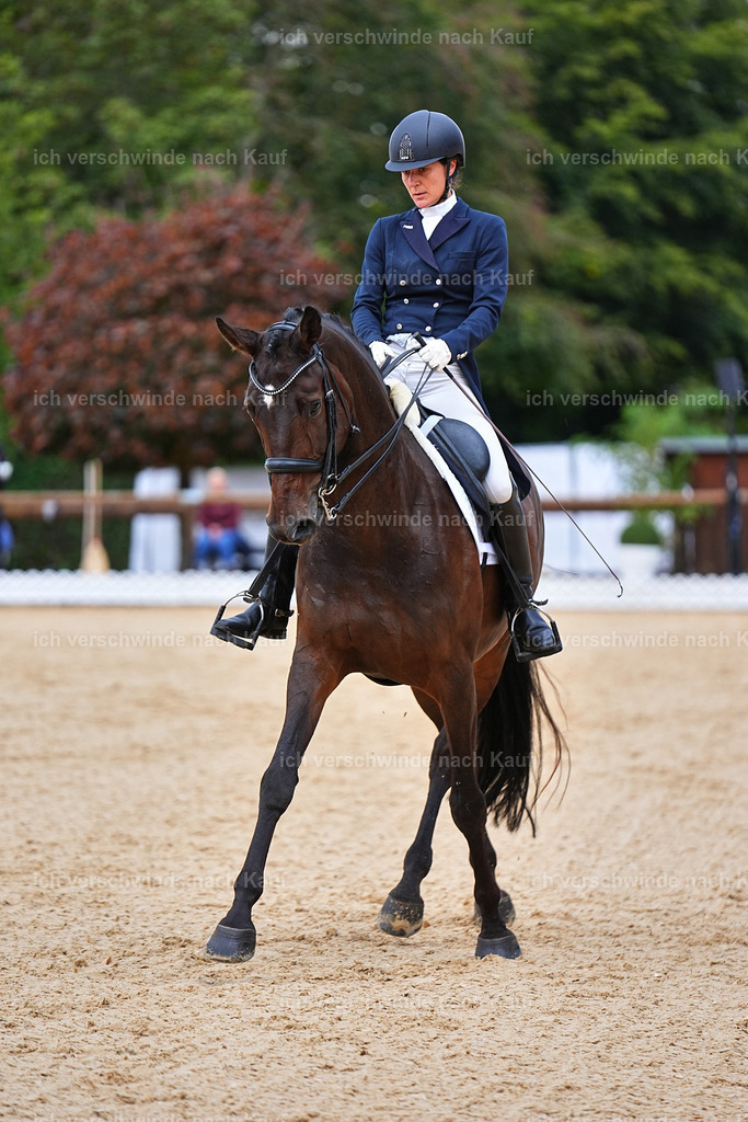 8_1-087-Klasse S_  -Marixx-4121 | working equitationturnier fotograf videograf stoibphotography marixx film working equitation deutschland reitsport turnierfotografie eventfotografie equestrian events