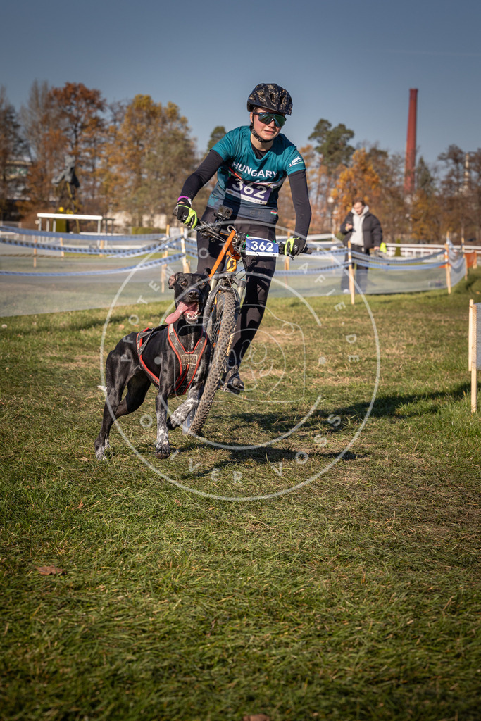 CaniXpix_0L8A6259 | Hundefotografie, Tierfotograf, Pfotenfotografie, Fotoshooting Hund, Hunde Portrait, Hundesport, Hundeportraits, Heideshooting, Hunde, Sportfotograf, Hundefotograf, Turnierhundsport, THS,  - Realisiert mit Pictrs.com